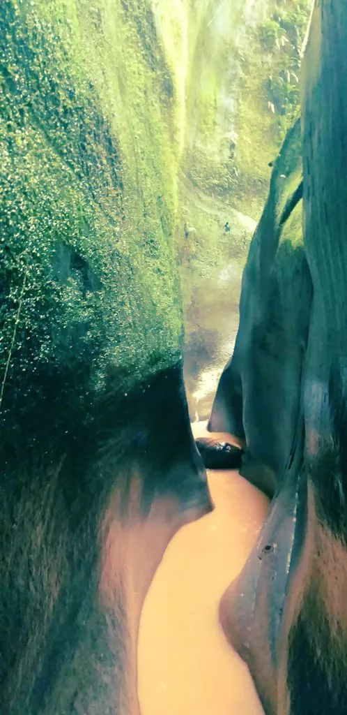 CAÑON DE MURCIELAGOS TOUR FULL DAY